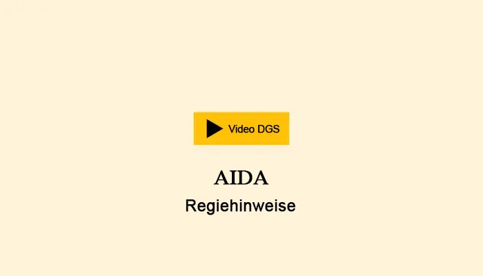 Video in Deutscher Gebärdensprache: Regiehinweise