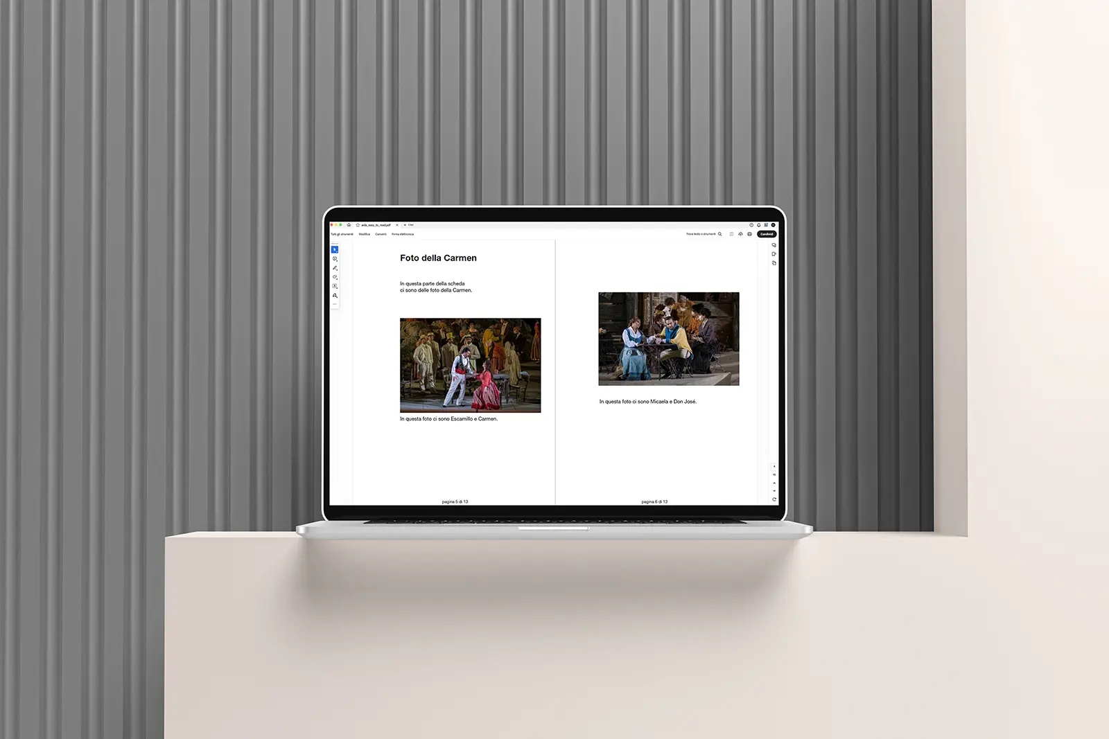 Scheda dell'opera in Easy to Read