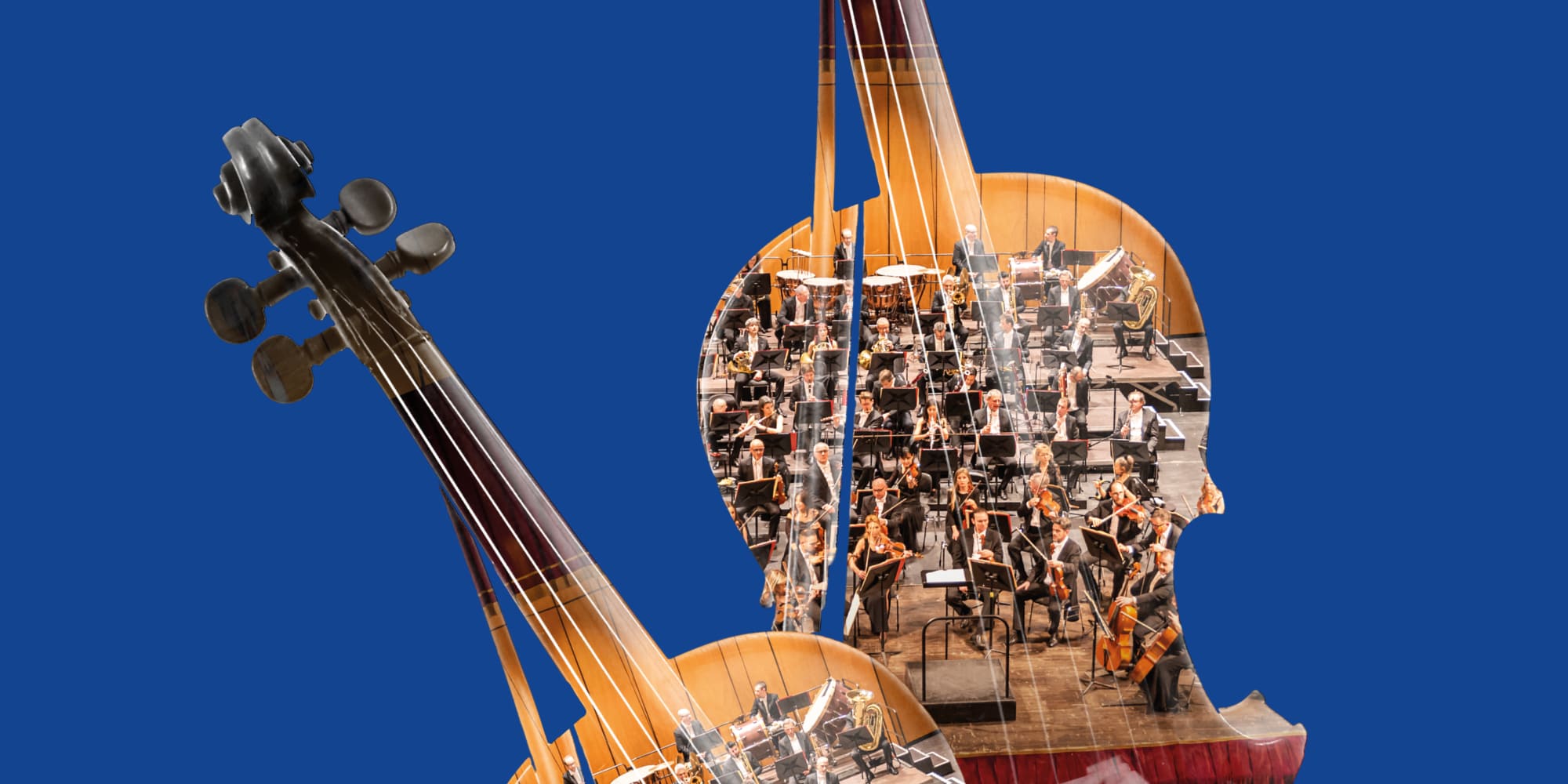 Brahms 1
